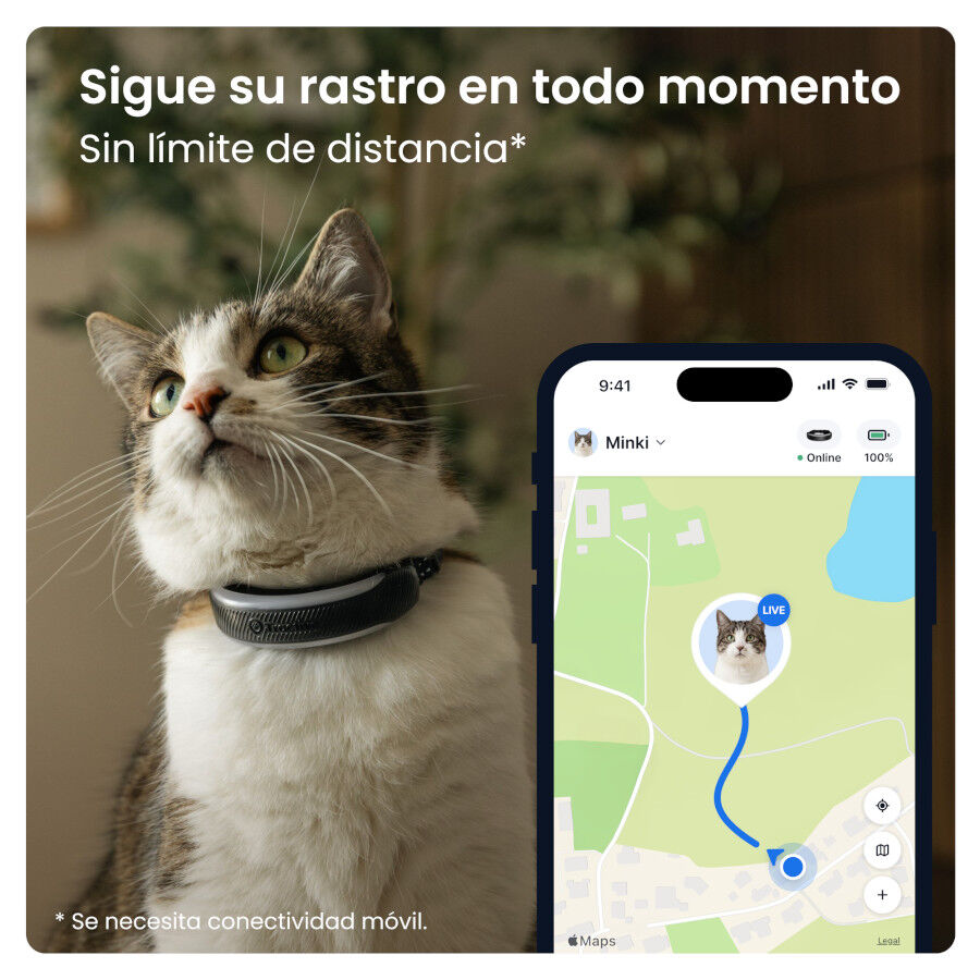 Tractive Cat 6 Mini Negro GPS para gatos, , large Imagen numero 2