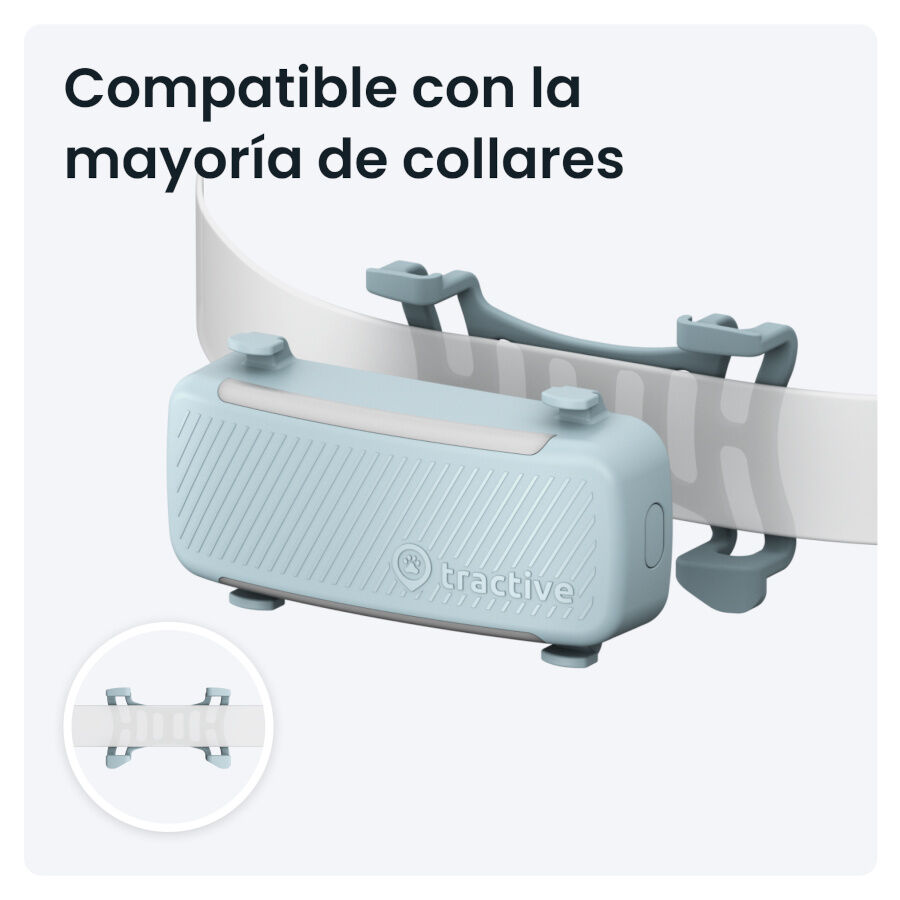 Tractive GPS Dog 6 Menta Rastreador para perros thumbnail