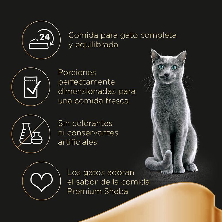 Sheba Délices du Jour en Salsa de pollo, pavo y pato alimento húmedo para gatos thumbnail