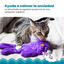 Outward Hound Catstages Purr Pillow Kitty Peluche Relajante para gatos, , large indicador imagen numero 3