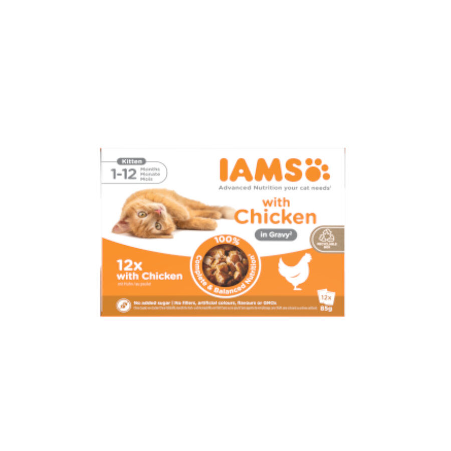 12 sobres x 85 g IAMS Delights Pollo en salsa sobre para gatitos , , large Imagen numero 1