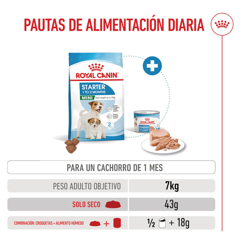 8 kg Royal Canin Starter MotheryBaby Mini pienso para perros,  Imagen numero 8 8 kg Royal Canin Starter MotheryBaby Mini pienso para perros, , large Imagen numero 8