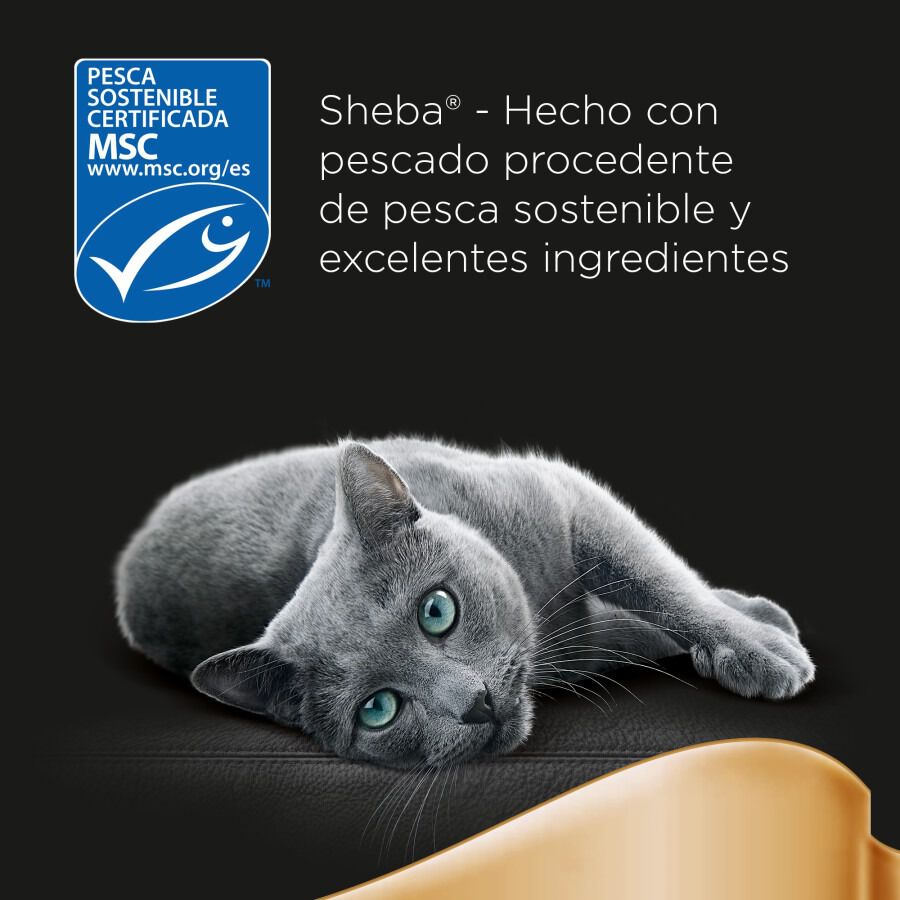 Sheba Delicatezze Selección Mixta Gelatina en Bolsita para Gatos - Multipack thumbnail