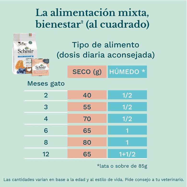 Schesir Kitten pollo con aloe latas para gatitos thumbnail