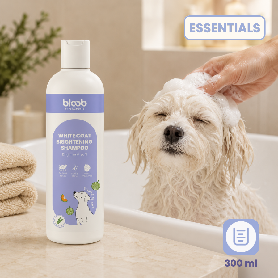 Bloob Champ&uacute; Realzador Mantos Blanco Mel&oacute;n para perros, , large Imagen numero 7