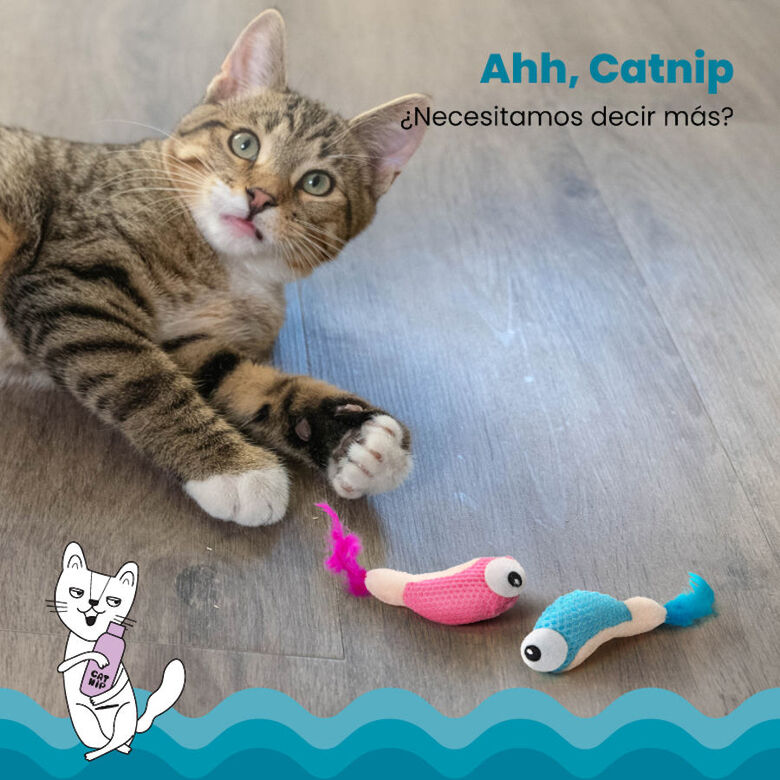 Catstages Dental Shrimpies Peluches con Plumas para gatos thumbnail