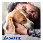 Adaptil Collar Tranquilizante para perros, , large image number null