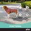 Gotoo Chaqueta Rosa para perros, , large indicador imagen numero 6