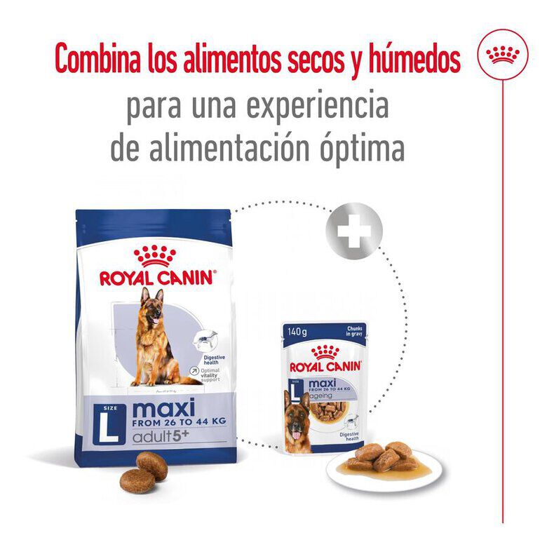Royal Canin Maxi Adult 5+ pienso para perros senior de raza grande thumbnail