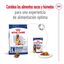 15 kg Royal Canin Maxi Adult 5+ pienso para perros senior de raza grande, , large indicador imagen numero 10