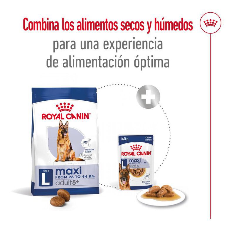 15 kg Royal Canin Maxi Adult 5+ pienso para perros senior de raza grande,  Imagen numero 10 15 kg Royal Canin Maxi Adult 5+ pienso para perros senior de raza grande, , large Imagen numero 10