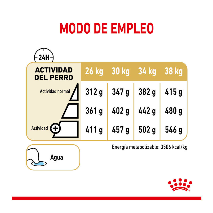 Royal Canin Adult 5+ Labrador pienso para perros thumbnail