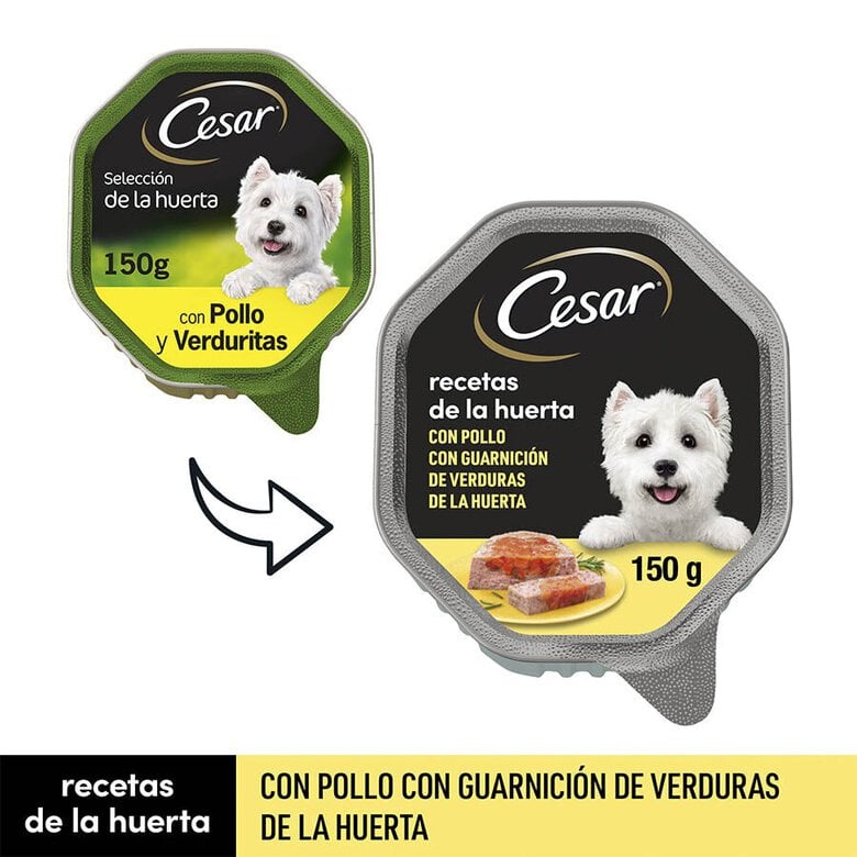 150 g Cesar Recetas de la huerta Tarrina en Paté y Gelatina para Perros ,  Imagen numero 2 150 g Cesar Recetas de la huerta Tarrina en Paté y Gelatina para Perros , , large Imagen numero 2