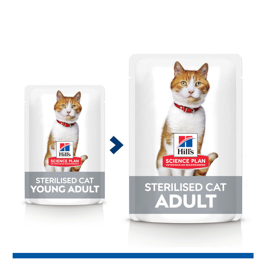 12 sobres x 85 g Hill's Science Plan Sterilised Carne y Pescado sobre para gatos , , large Imagen numero 6