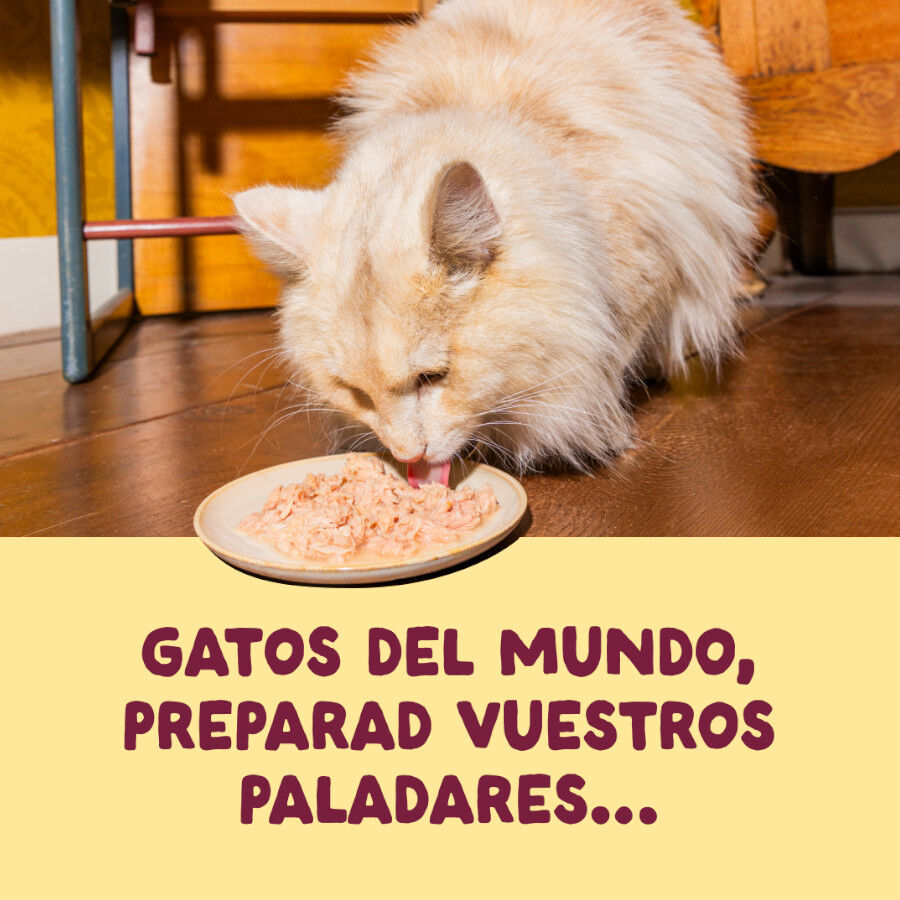 70 g Edgard & Cooper Filetes de Pollo y Pavo Lata para gatos, , large Imagen numero 2