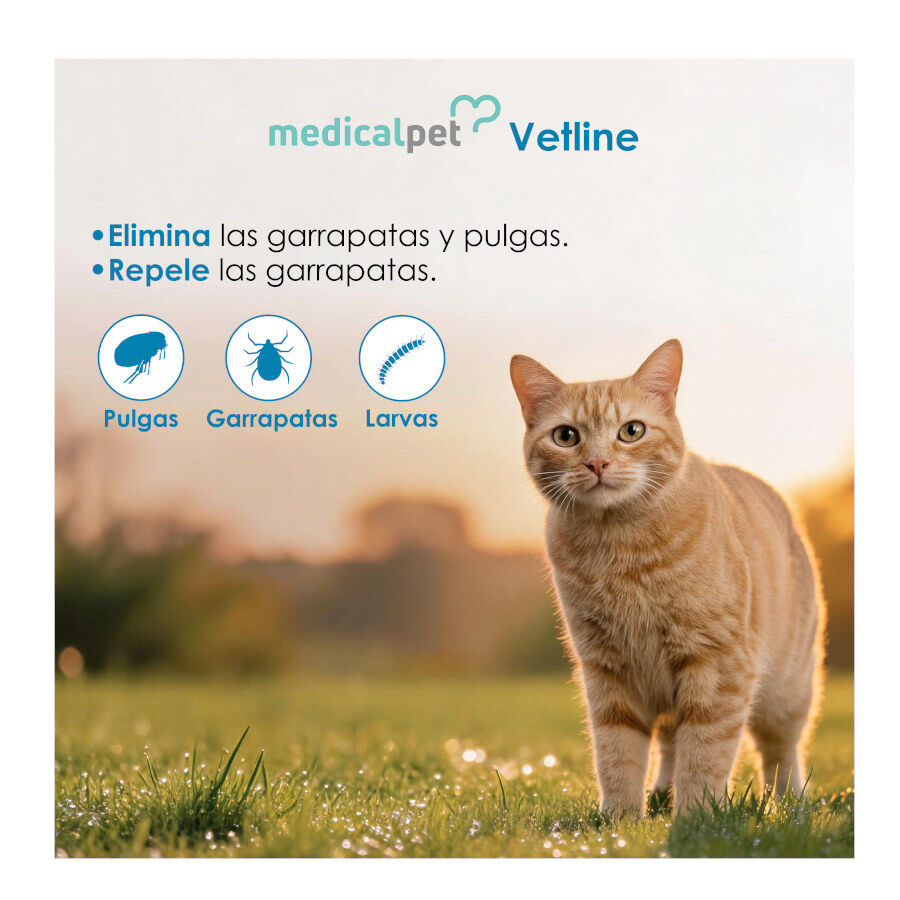 Medicalpet Vetline Collar Antiparasitario para gatos, , large Imagen numero 4