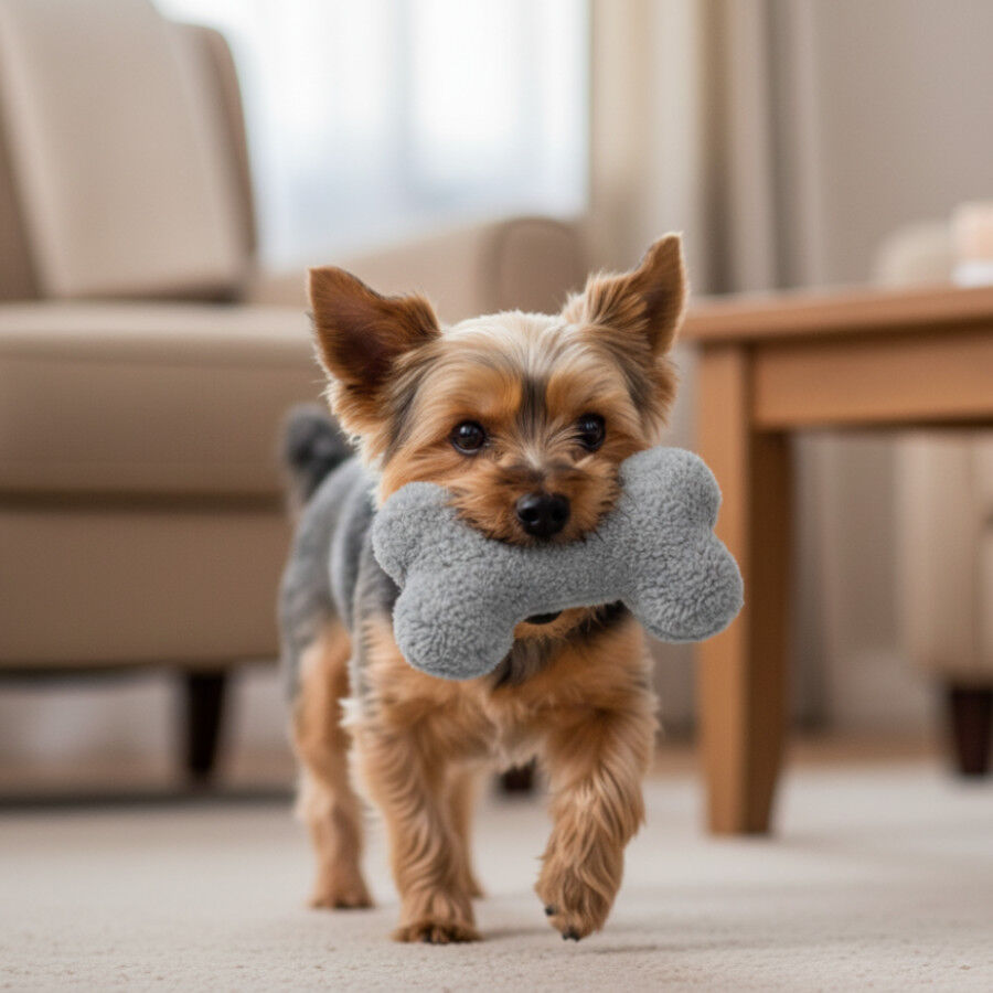 Tootoy! Hueso de Peluche con Sonido Gris para perros