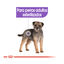8 kg Royal Canin Sterilised Mini pienso para perros, , large indicador imagen numero 5