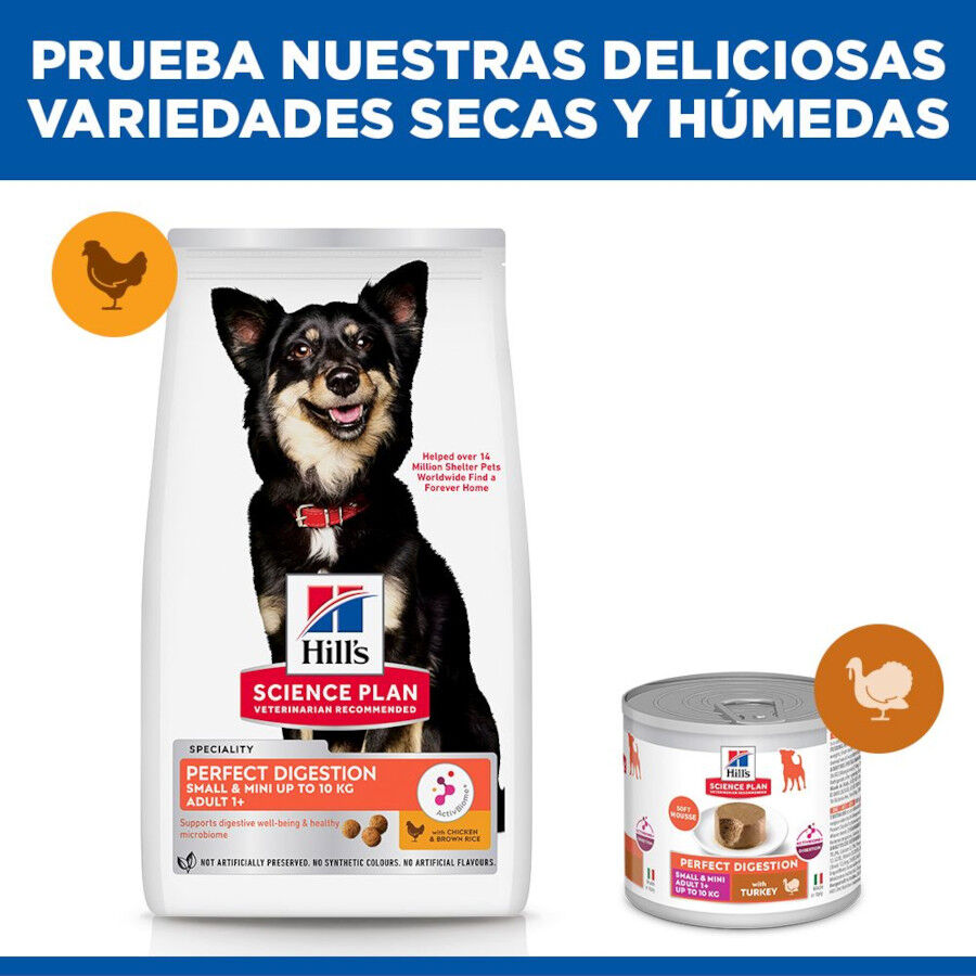 6 kg Hill's Science Plan Perfect Digestion Small y Mini Adult Pollo ...