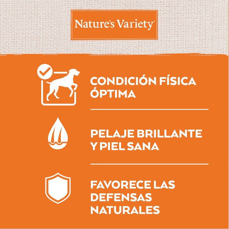 12 kg (10 + 2 kg ¡gratis!) Nature's Variety No Grain Adult Medium Maxi Salmón pienso para perros,  Imagen numero 4 12 kg (10 + 2 kg ¡gratis!) Nature's Variety No Grain Adult Medium Maxi Salmón pienso para perros, , large Imagen numero 4