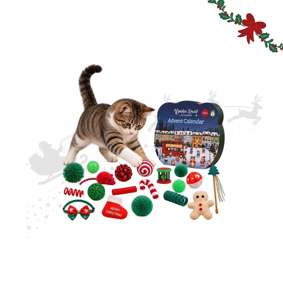 Wonder Christmas Calendario Adviento Premium Juguete para gatos, , large Imagen numero 1