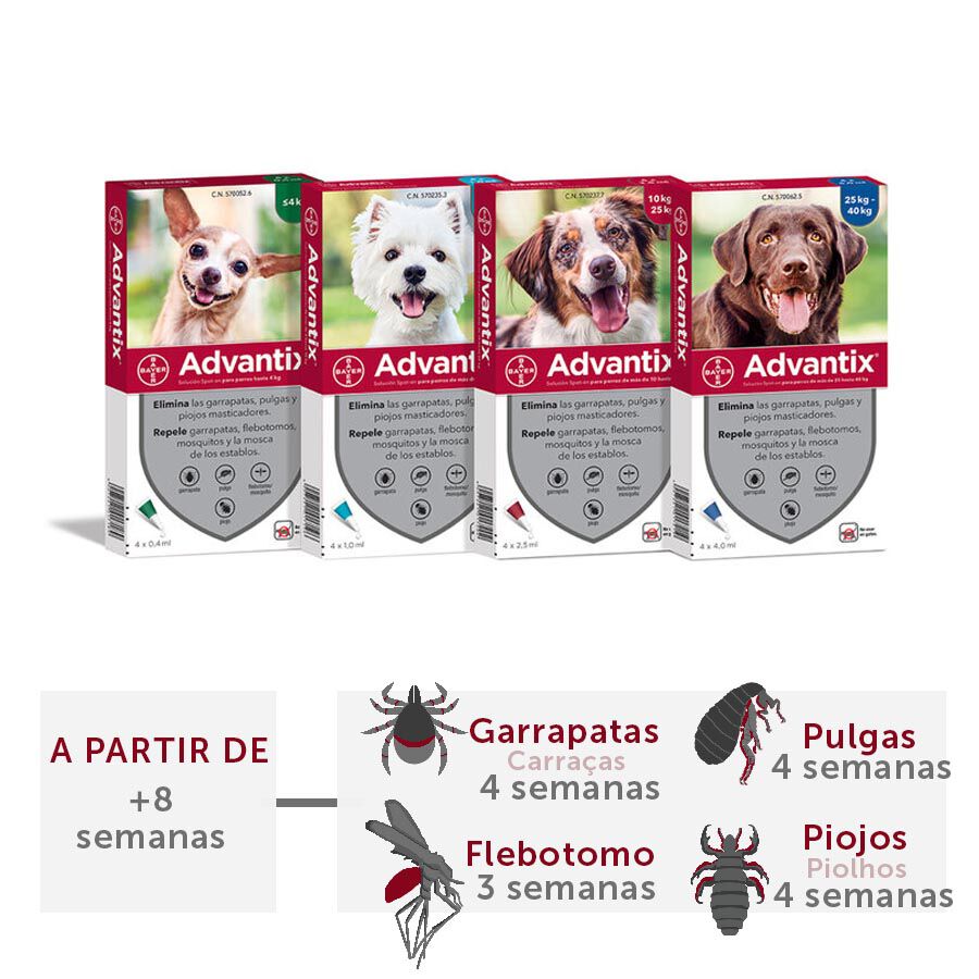 Cama ortopédica outlet perro kiwoko