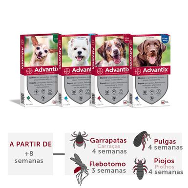 Pipetas para perros