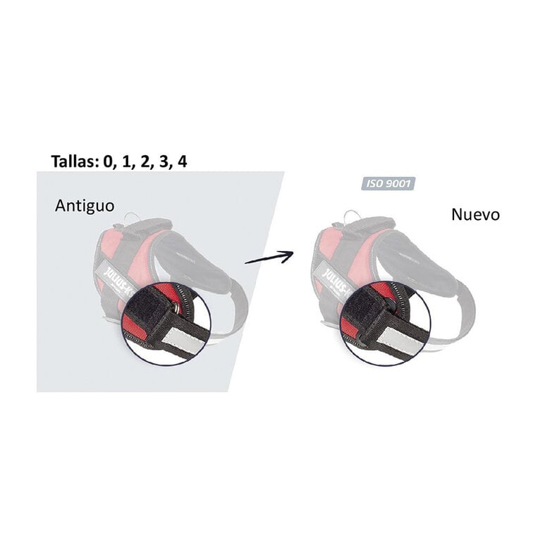 Julius-K9 IDC Arnés Rojo para perros,  Imagen numero 6 Julius-K9 IDC Arnés Rojo para perros, , large Imagen numero 6