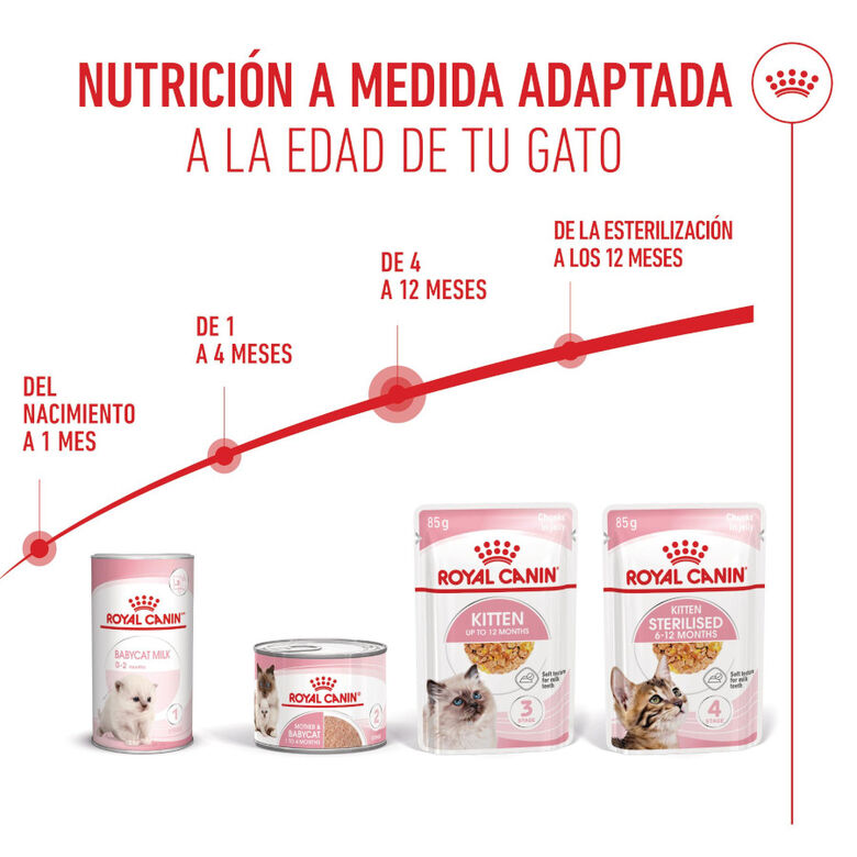 Royal Canin Kitten comida húmeda en gelatina sobre para gatitos thumbnail