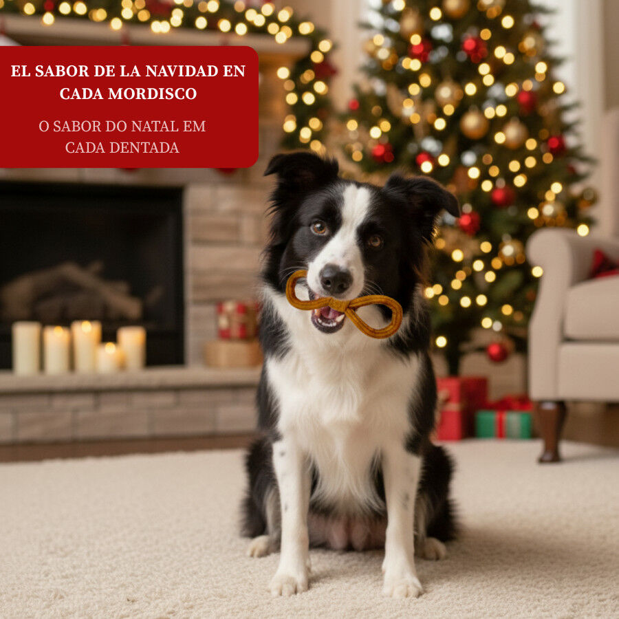 Wonder Christmas Churro de Lazo para perros thumbnail