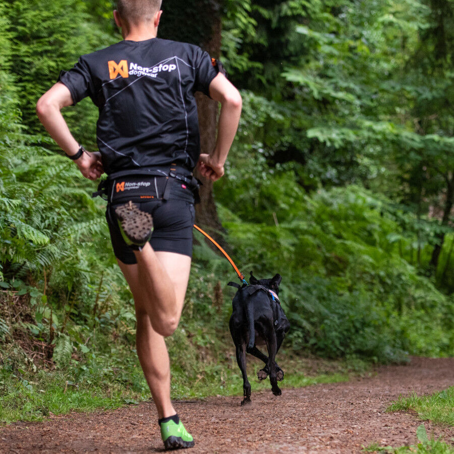 Non-stop dogwear Bungee Correa Elástica Negra y Naranja para perros thumbnail