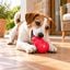 Kong Classic portagolosinas rojo para perros, , large indicador imagen numero 1