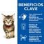 80 g Hill's Science Plan Kitten Healthy Cuisine Estofado de Pollo y Verduras Sobre, , large indicador imagen numero 4