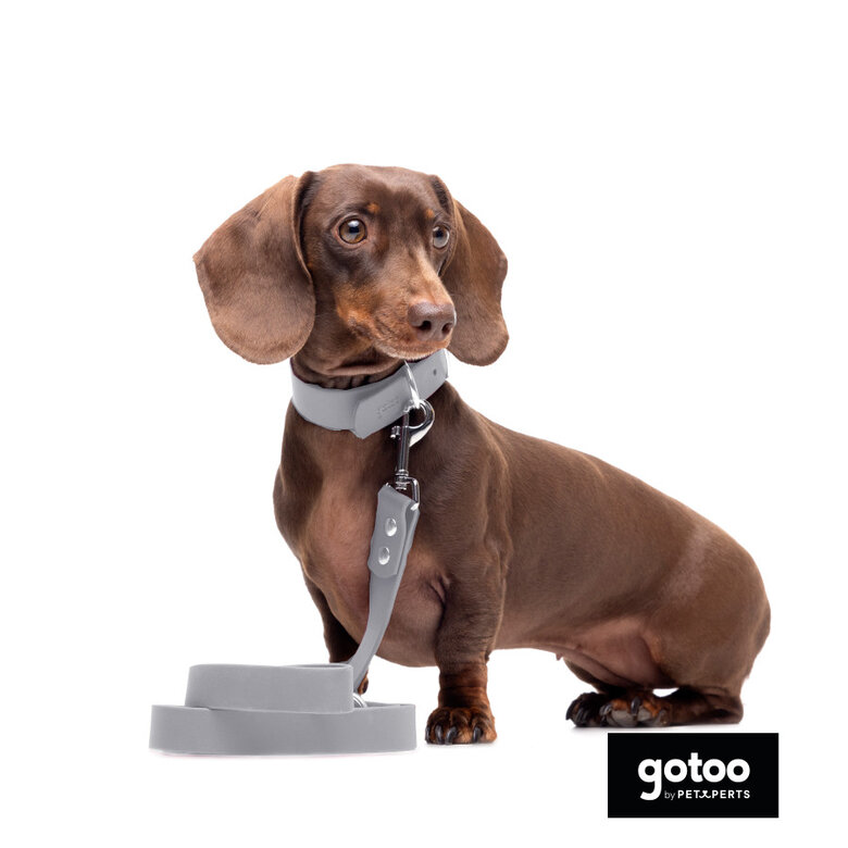 Gotoo Collar Biothane gris para perros,  Imagen numero 8 Gotoo Collar Biothane gris para perros, , large Imagen numero 8
