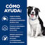 Hill's Prescription Diet t/d Dental Care Pollo pienso para perros medianos, , large indicador imagen numero 4