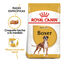 12 kg Royal Canin Adult Boxer pienso para perros, , large indicador imagen numero 2