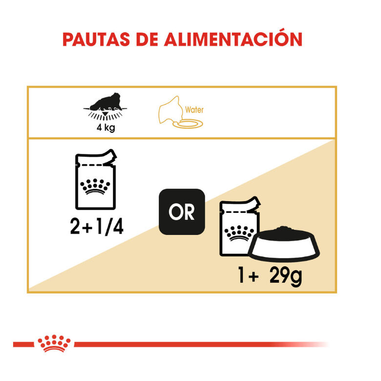 Royal Canin Feline Persian Adult sobres para gatos thumbnail