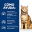 8 kg Hill's Prescription Diet Urinary Care c/d Pollo pienso para gatos, , large indicador imagen numero 4