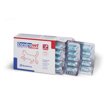 Bioiberica Condrovet Force HA Condroprotector para gatos