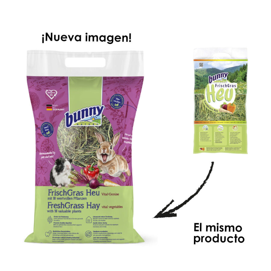 Bunny Fresh Grass Heno de Vegetales para roedores, , large Imagen numero 2