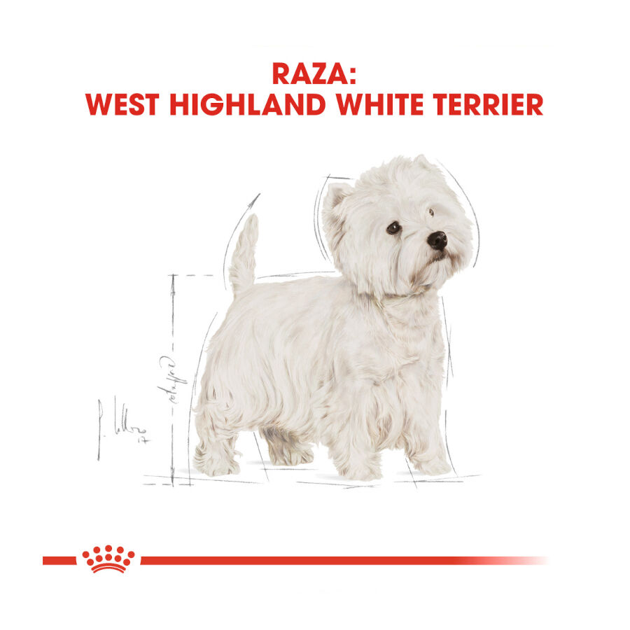 Royal Canin Adult White Terrier West Highland pienso para perros thumbnail