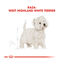 3 kg Royal Canin Adult White Terrier West Highland pienso para perros, , large indicador imagen numero 3