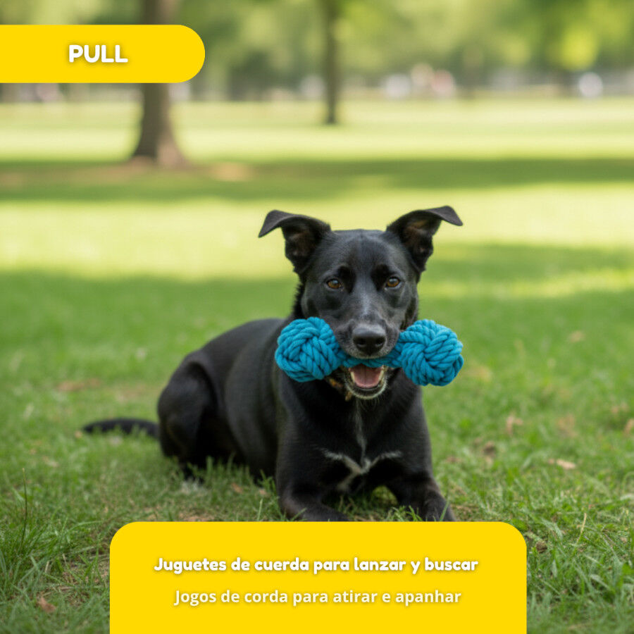 Tootoy! Hueso Mordedor de Cuerda Azul para perros, , large Imagen numero 5