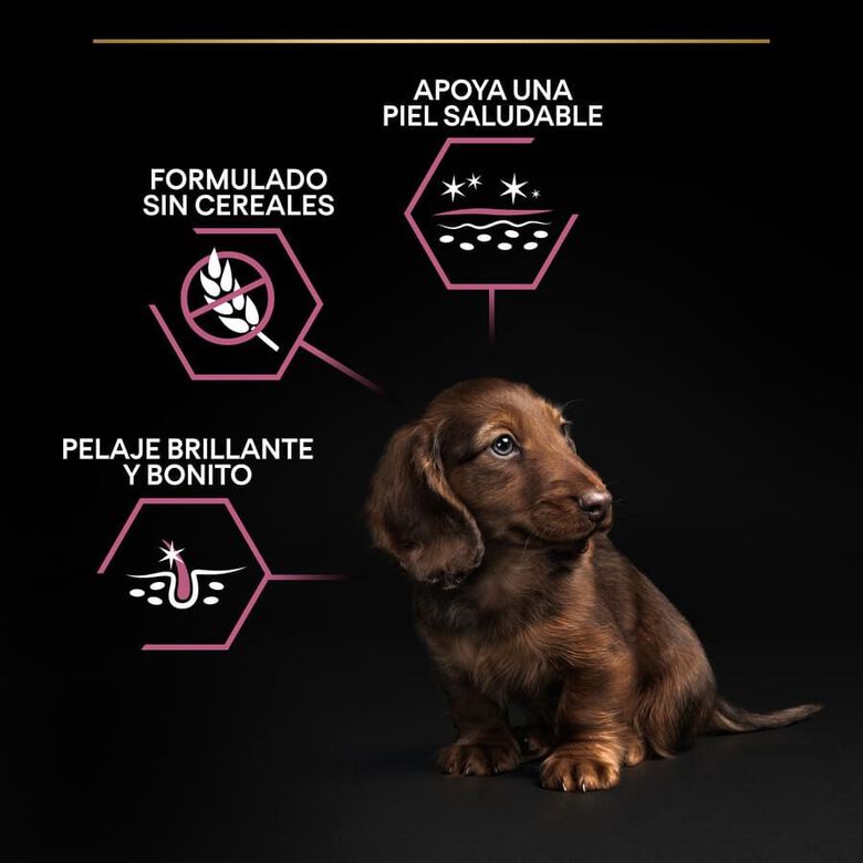 Pro Plan Puppy Small y Mini Salmón pienso para Perros Piel thumbnail