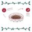 Wonder Christmas Cama Donut Estampado Dulce para gatos, , large indicador imagen numero 4