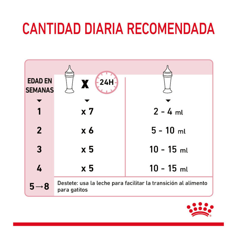 Royal Canin Leche para gatitos primer año thumbnail