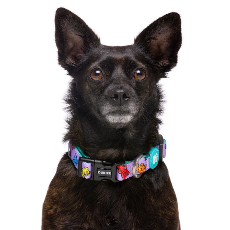 Dukier Gummy Bears collar para perros, , large Imagen numero 2