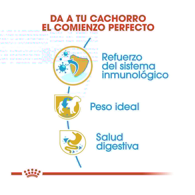 Royal Canin Puppy Miniature Schnauzer pienso para perros thumbnail