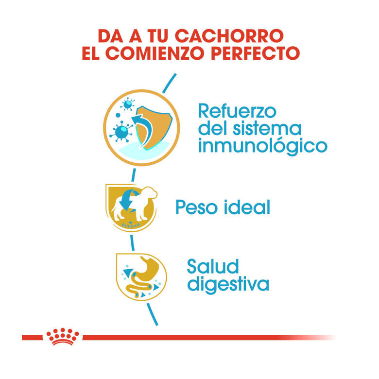 1.5 kg Royal Canin Puppy Miniature Schnauzer pienso para perros,  Imagen numero 7 1.5 kg Royal Canin Puppy Miniature Schnauzer pienso para perros, , large Imagen numero 7