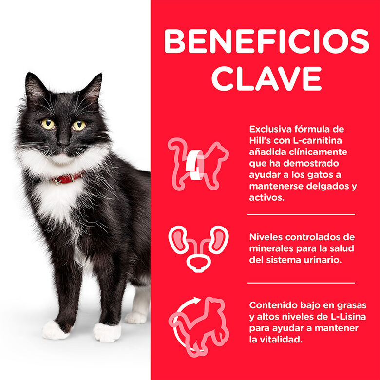 Hill&#039;s Science Plan Sterilised Mature Adult Pollo pienso para gatos thumbnail